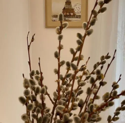 2_traveler's Retreat Апартаменты